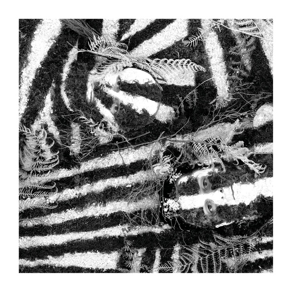 Album: Razzle Dazzle Album: Razzle Dazzle